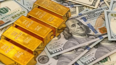 BCB: Solo $us 147 millones en divisas de $us 3.451 millones en RIN