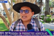 Tarija: Granizada destruye el 95% de los cultivos en comunidades rurales