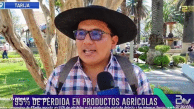 Tarija: Granizada destruye el 95% de los cultivos en comunidades rurales
