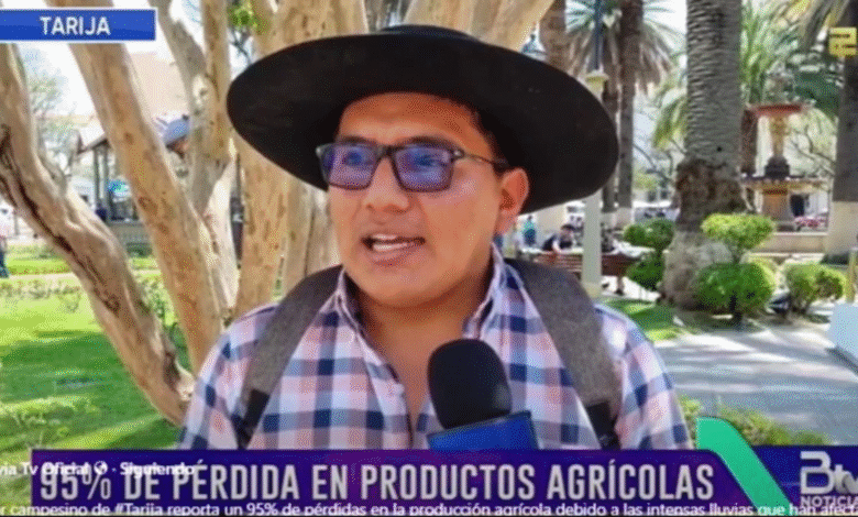 Tarija: Granizada destruye el 95% de los cultivos en comunidades rurales