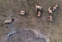 Reportan 205 familias afectadas por fenómenos climatológicos