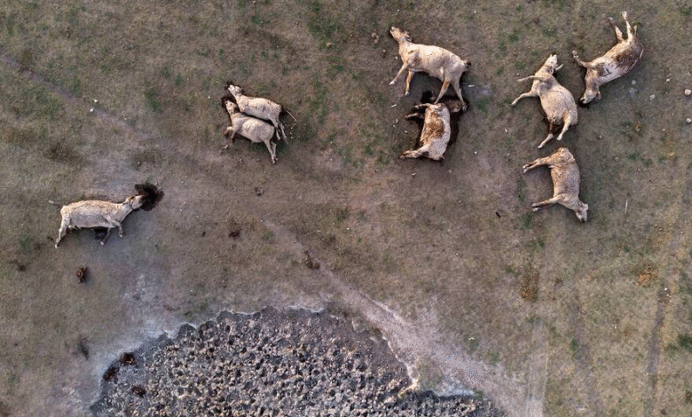 Reportan 205 familias afectadas por fenómenos climatológicos