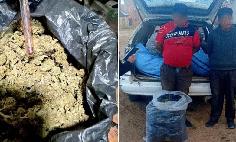 Detienen a dos hombres con 32 bolsas de marihuana