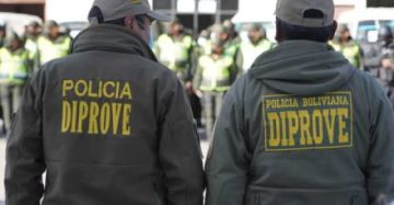 Seguridad: Operativo binacional con Chile recupera robados