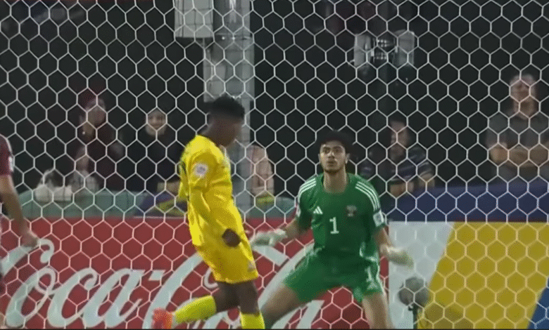 Mundial Qatar sub.17: Qatar (1) vs. Sudafrica (1) (Resumen)