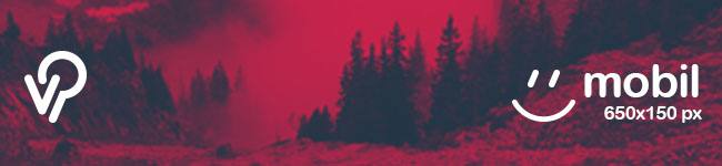 Espacio-vivePOTOSI.com