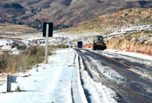 Desastres causan pérdida de 131 cabezas de ganado en Potosí