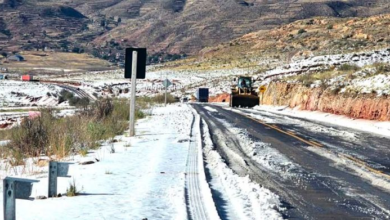 Desastres causan pérdida de 131 cabezas de ganado en Potosí
