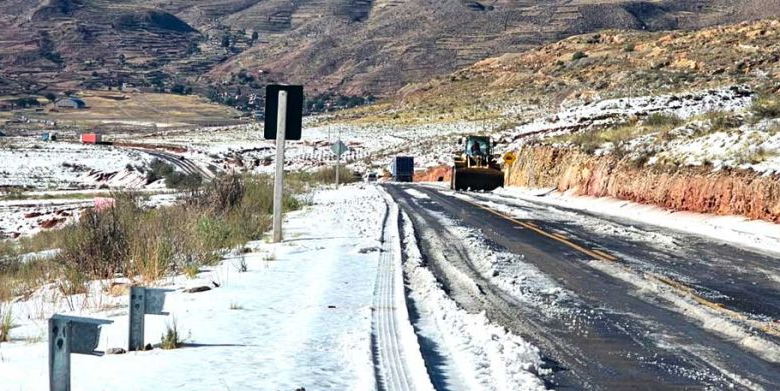 Desastres causan pérdida de 131 cabezas de ganado en Potosí