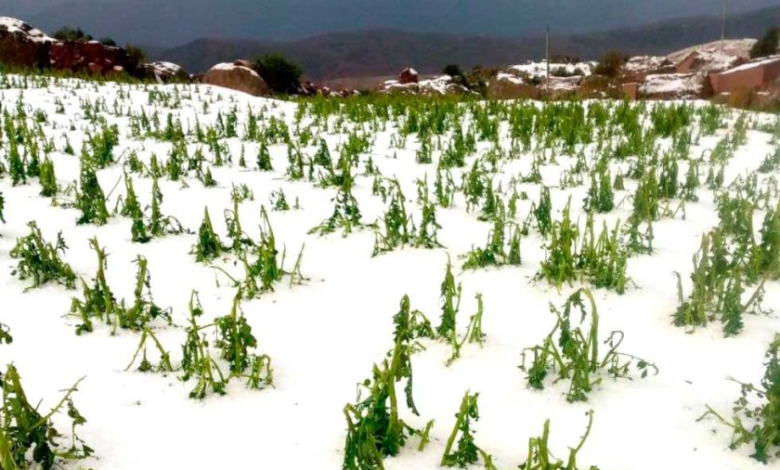 Alerta: Reportan fuertes lluvias y granizo en Potosí