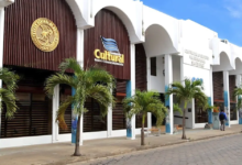 Cuando la cultura se politiza: una mirada crítica al CCP