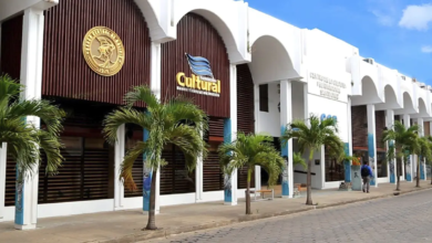 Cuando la cultura se politiza: una mirada crítica al CCP