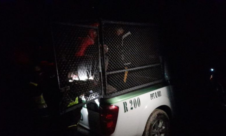 Caen 7 jucus que operaban arriba de la cota 4.400 del Cerro Rico