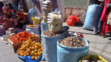 Bloqueos no evitan ingreso de fruta para Corpus Christi