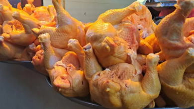 Especulación extrema: reciben pollo a Bs 10 y lo venden en Bs 21