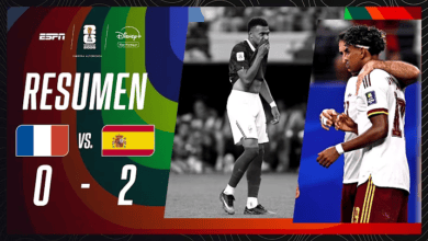 Francia (0) VS. (2) España (Resumen)