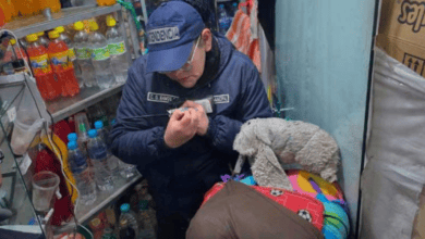 Intendencia decomisa productos vencidos en el Mercado Uyuni
