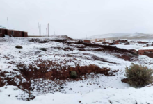 Nevada afecta a 750 familias agrícolas y ganaderas en Potosí