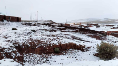 Nevada afecta a 750 familias agrícolas y ganaderas en Potosí