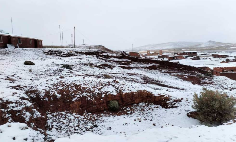 Nevada afecta a 750 familias agrícolas y ganaderas en Potosí