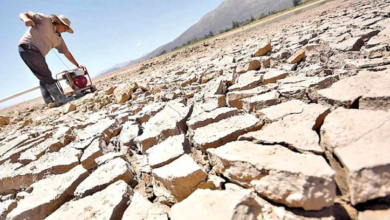 Temen sequía severa en Potosí por la llegada del "Súper Niño"
