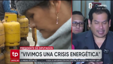 Presidente de Diputados: “Hemos entrado a una crisis energética"