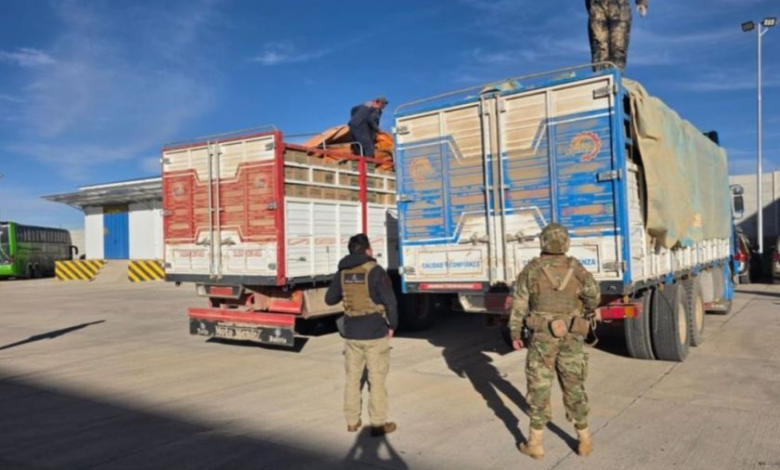 Incautan 20 toneladas de aceite de contrabando en Chaquí