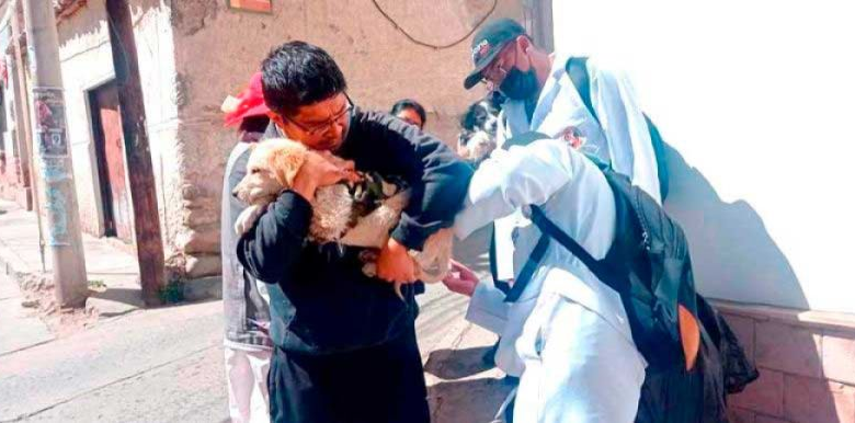 Sedes reporta que 973 personas fueron mordidas por perros