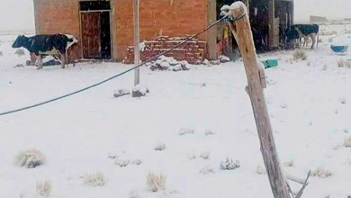 Senamhi prevé el retorno de nevadas a 16 provincias de Potosí