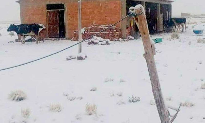 Senamhi prevé el retorno de nevadas a 16 provincias de Potosí
