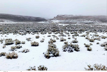 Nevada cayó en 78 comunidades de 20 municipios de Potosí