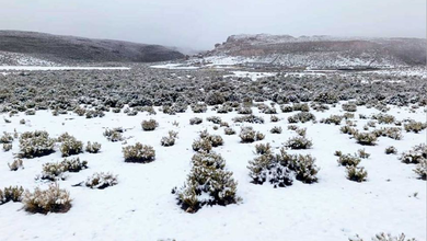 Nevada cayó en 78 comunidades de 20 municipios de Potosí