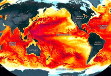 Alerta en Potosí: “El Niño” amenaza la seguridad alimentaria
