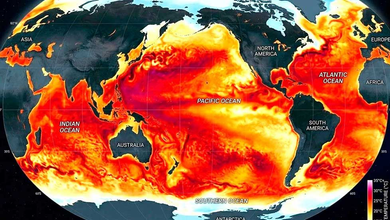 Alerta en Potosí: “El Niño” amenaza la seguridad alimentaria