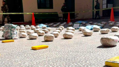 FELCN incauta droga valuada en más de $us 581 mil en el sur
